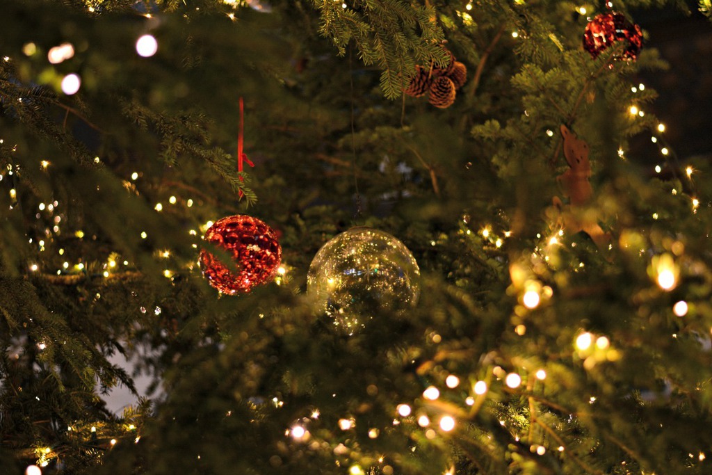 Rêvez Noël à Obernai Photo Céline Schnell Une Fille En Alsace