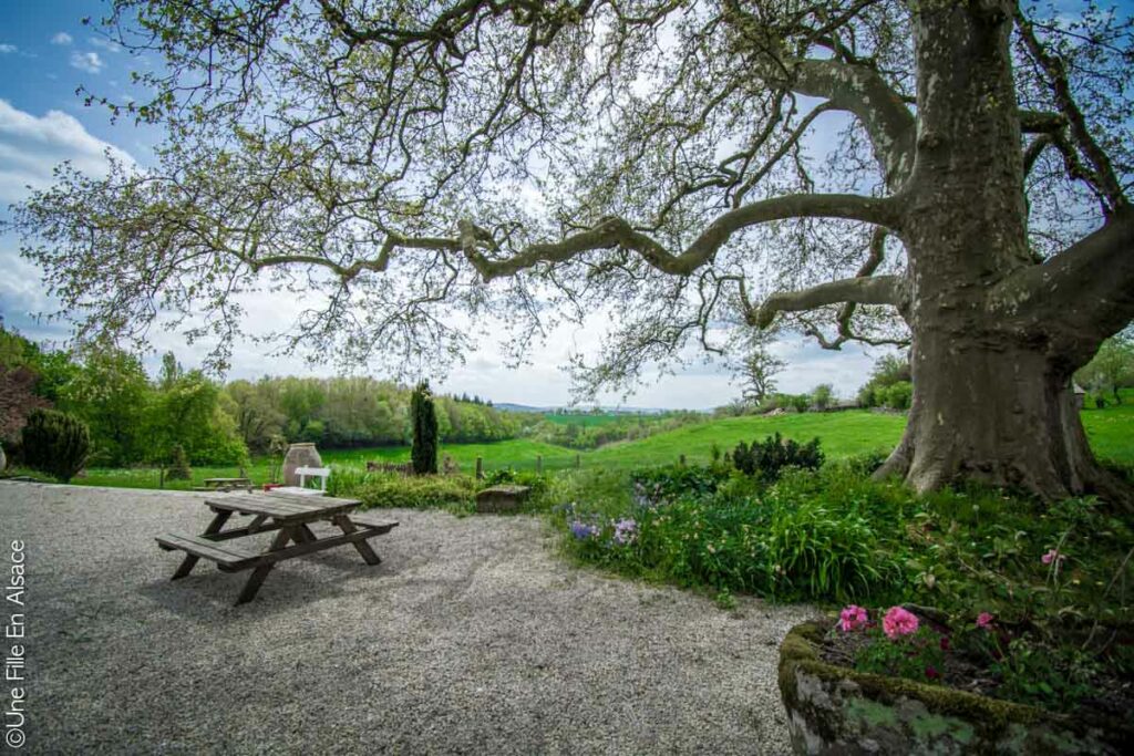 Château du Bosc Segala Aveyron - Photo Céline Schnell Une Fille En Alsace