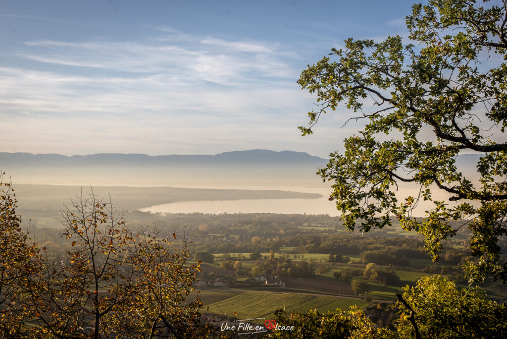 Belvédère des Châteaux d'Allinges- Lac Léman©Celine-Schnell-Une-Fille-En-Alsace-2019