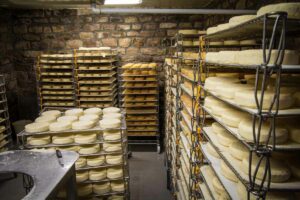 Cave a Munster Fromagerie Menigoz à Saint Bresson - Crédit photo Céline Schnell Une Fille En Alsace